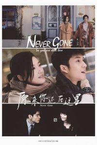 Never Gone