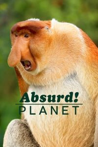 Un planeta absurdo